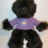 Suri 16" all black with purple sweater