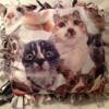 Fleece Kitty Pattern Pillow